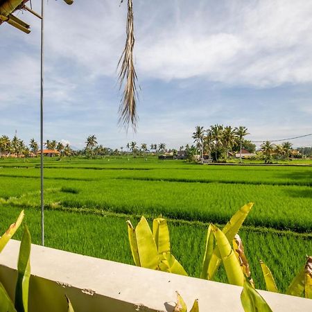 Sisin Ubud View Hotell Eksteriør bilde