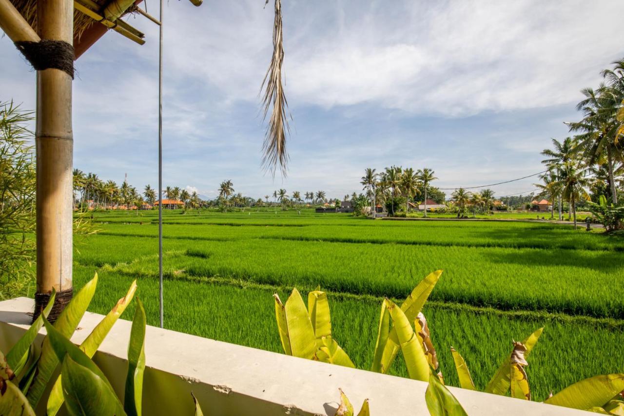 Sisin Ubud View Hotell Eksteriør bilde